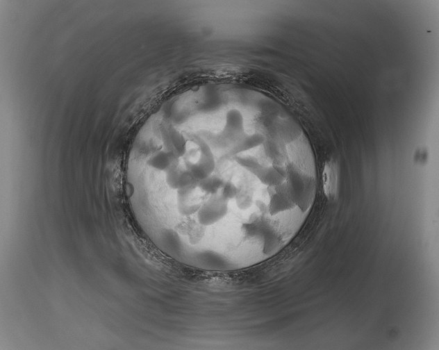 X0000115091395200911171206