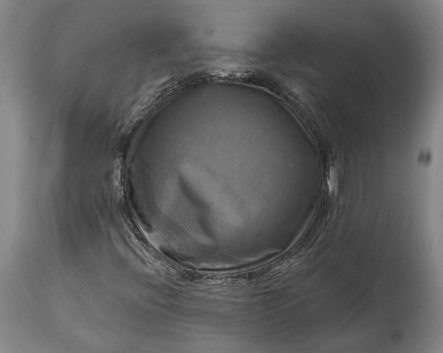 X0000115091396200911171206