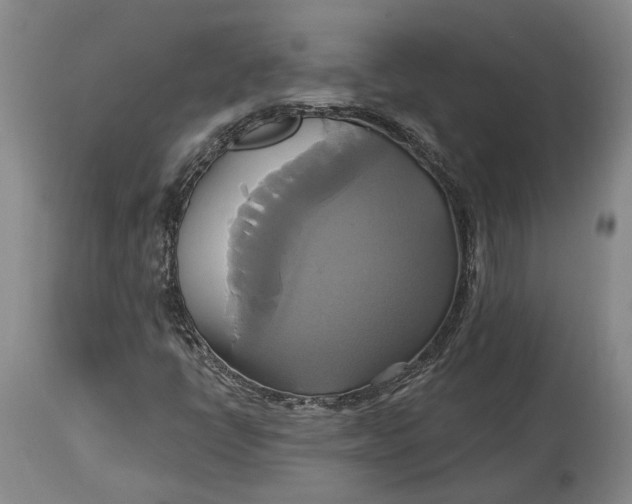 X0000115091398200911171206