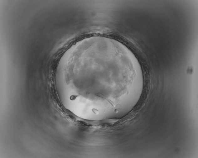 X0000115091399200911171206