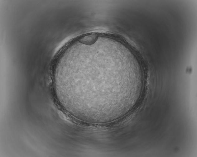X0000115091400200911171206