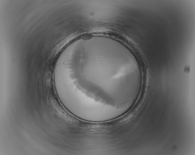 X0000115091401200911171206