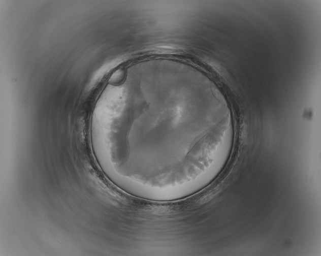 X0000115091402200911171206