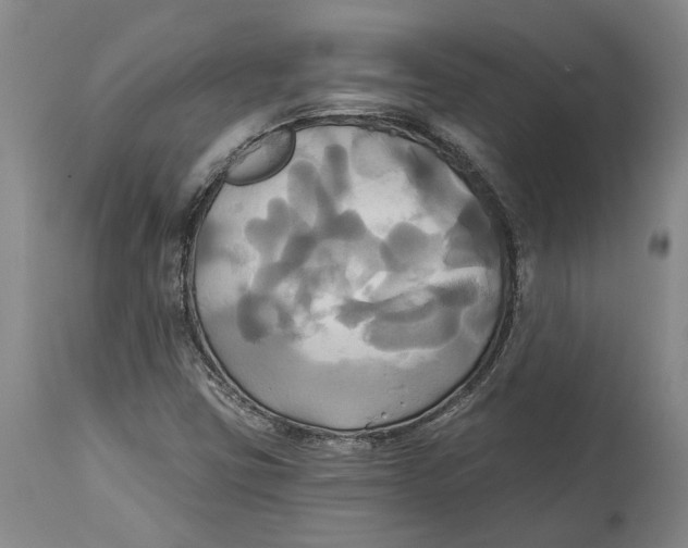 X0000115091403200911171206