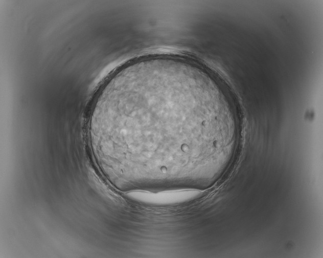 X0000115091404200911171206
