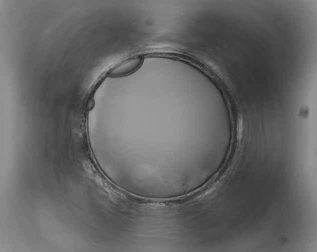 X0000115091405200911171206
