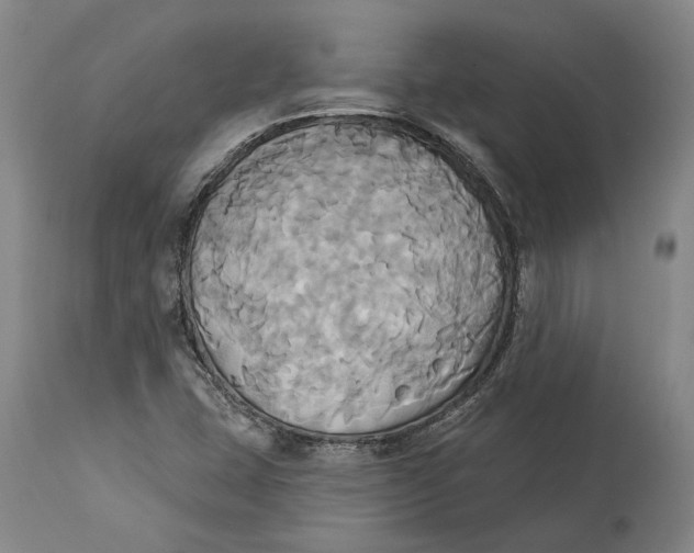 X0000115091407200911171206