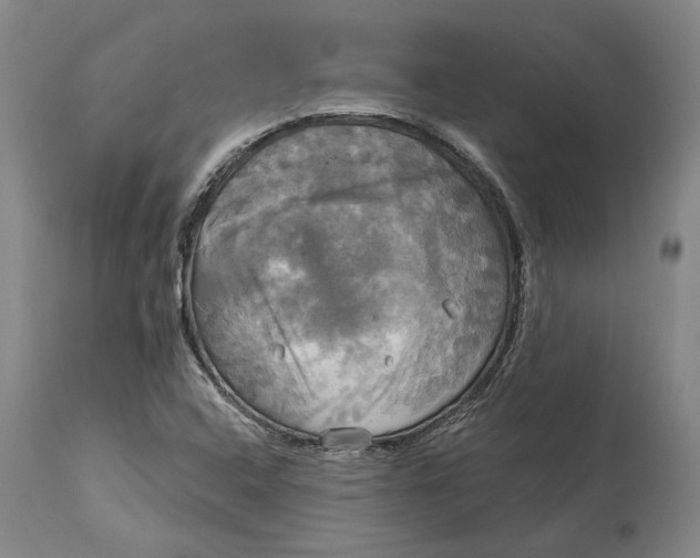 X0000115091408200911171206