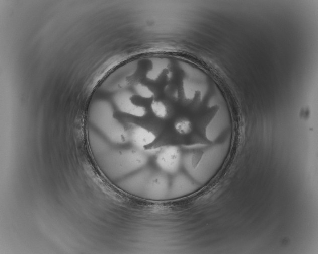 X0000115091409200911171206