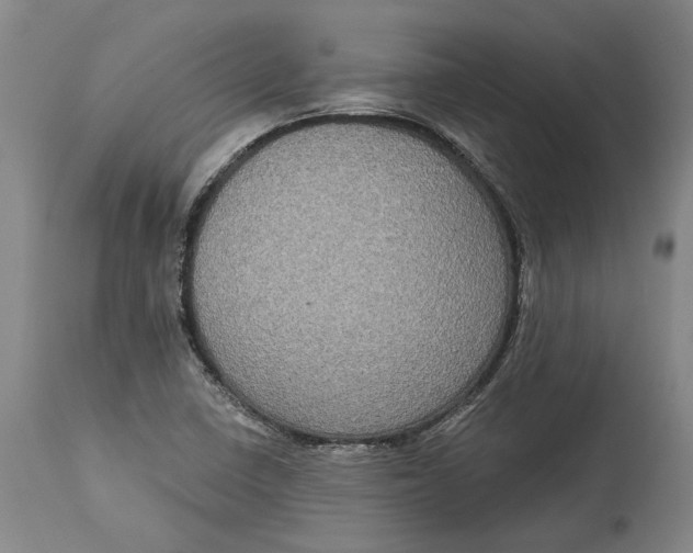 X0000115091410200911171206