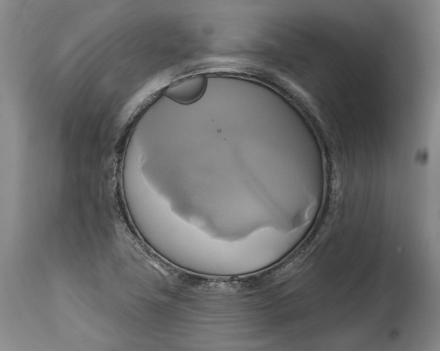X0000115091411200911171206