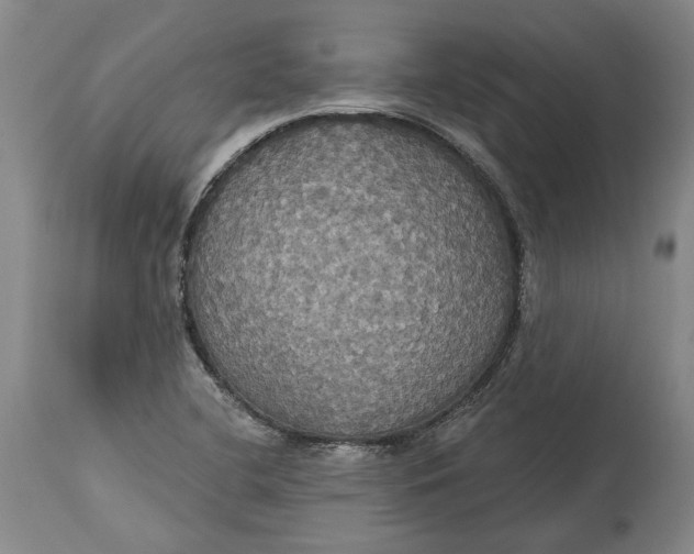 X0000115091412200911171206