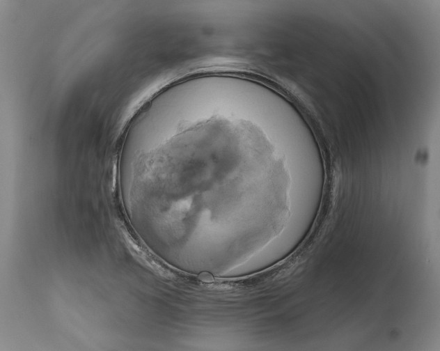 X0000115091413200911171206