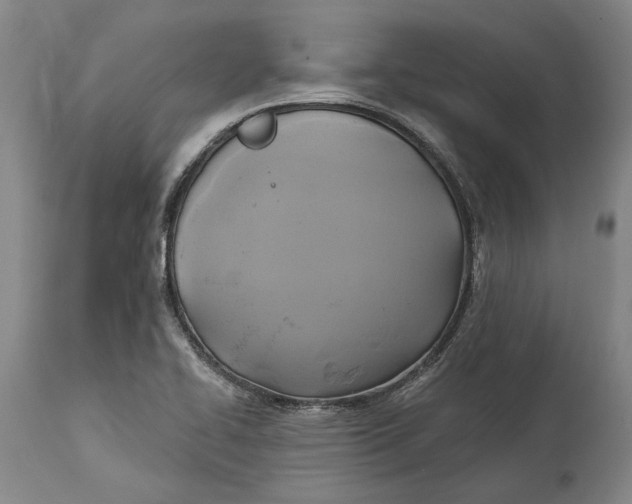 X0000115091414200911171207
