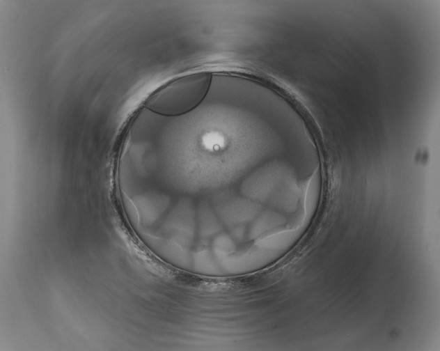 X0000115091415200911171207