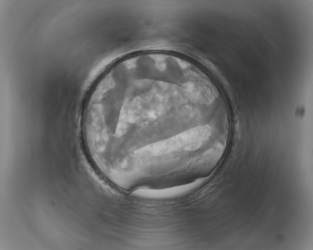 X0000115091416200911171207