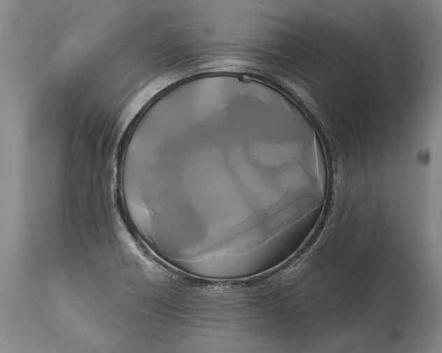 X0000115091418200911171207