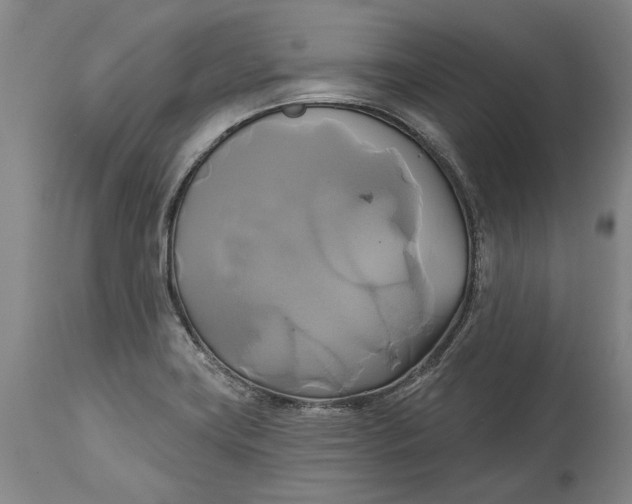 X0000115091419200911171207