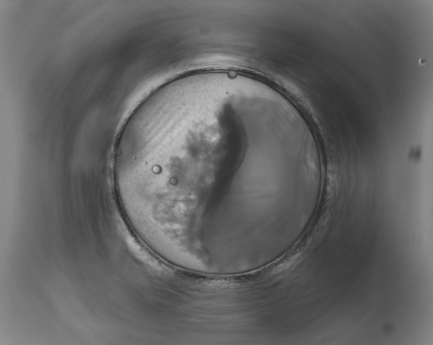 X0000115091421200911171207