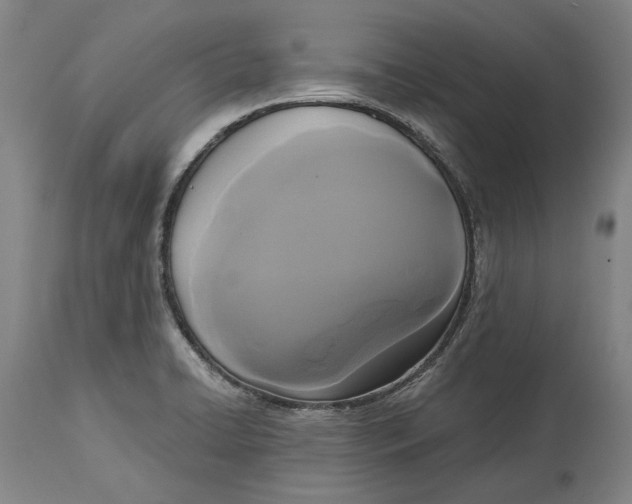 X0000115091422200911171207