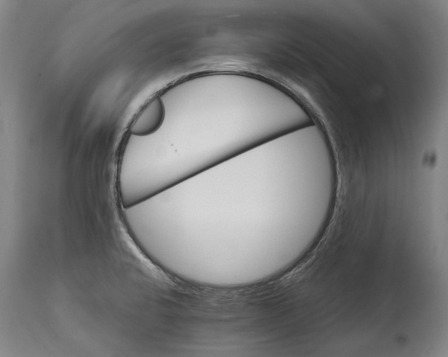 X0000115091424200911171207