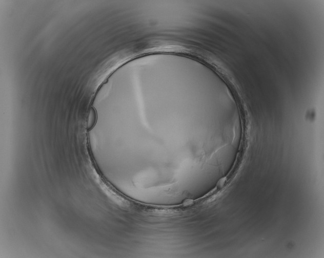 X0000115091425200911171207