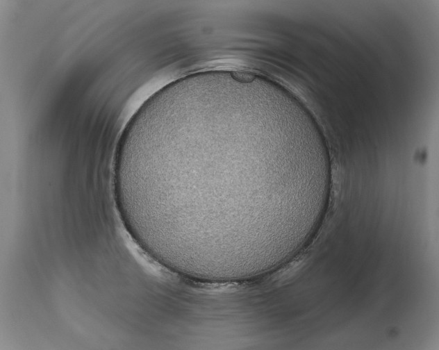 X0000115091426200911171207