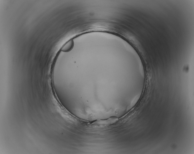 X0000115091427200911171207