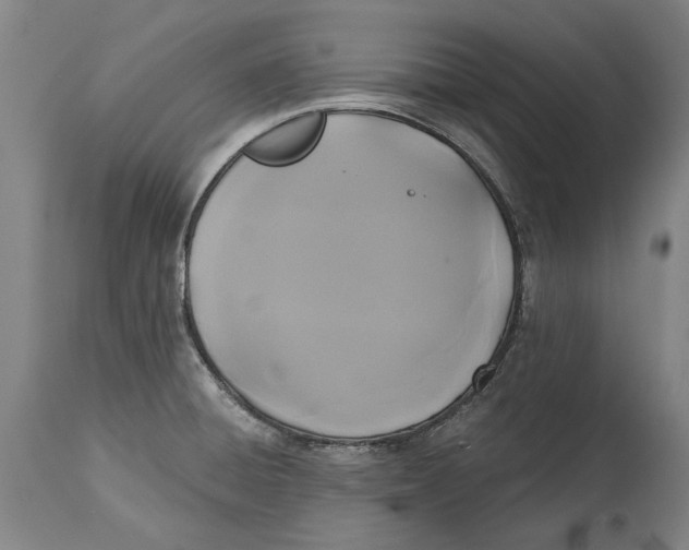 X0000115091428200911171207