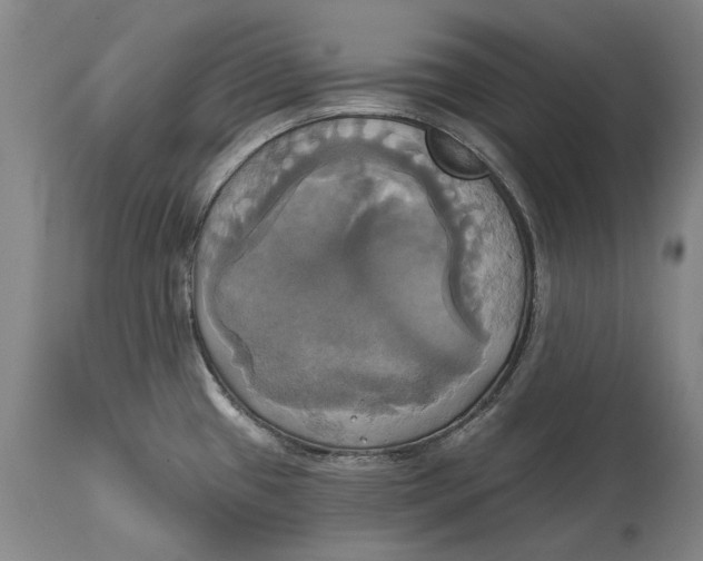 X0000115091433200911171207