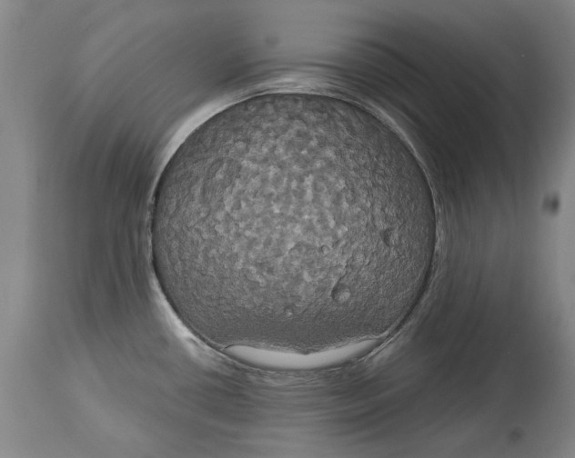 X0000115091434200911171207