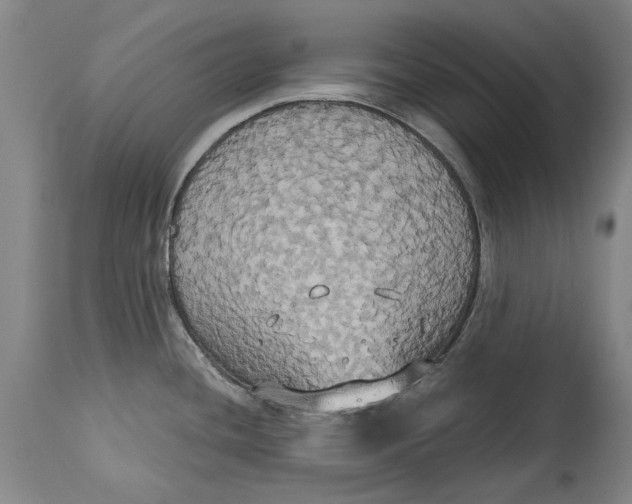 X0000115091436200911171207
