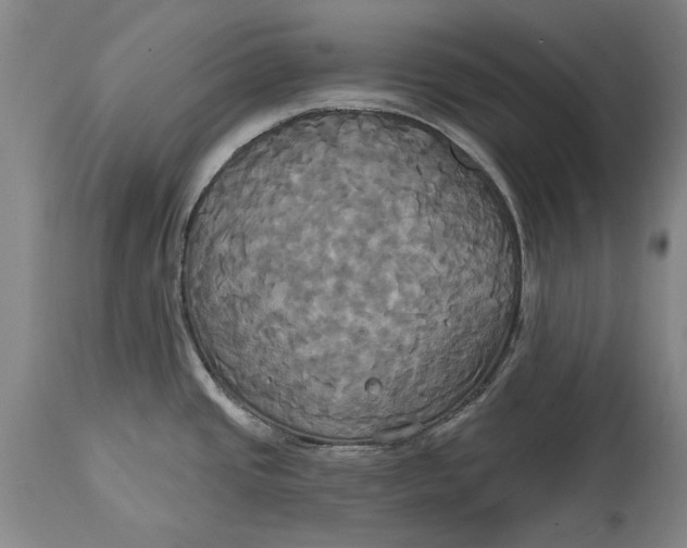 X0000115091437200911171207