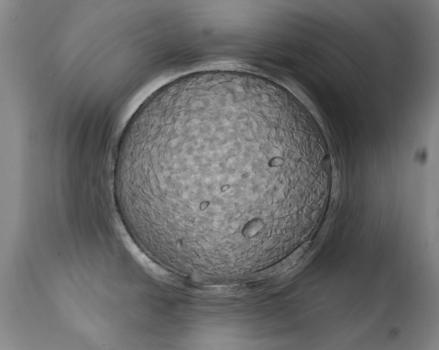 X0000115091438200911171207