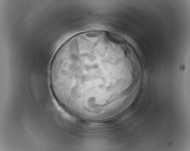 X0000115091439200911171207