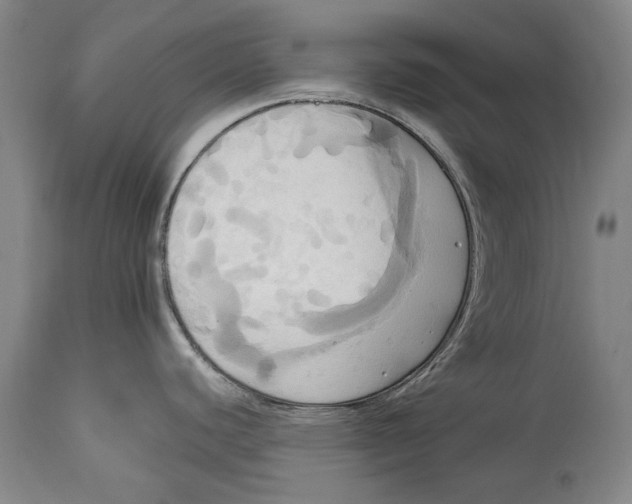 X0000115091440200911171207