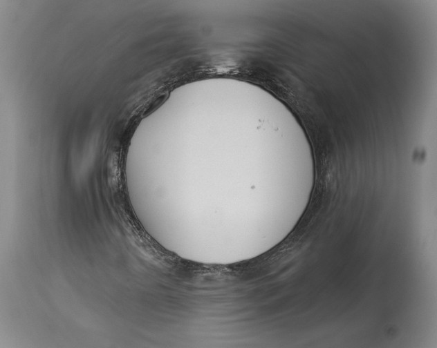X0000115091442200911171206