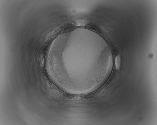 X0000115091443200911171206
