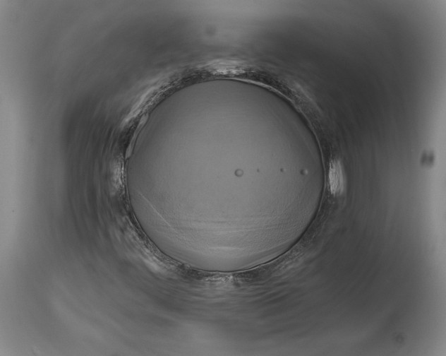 X0000115091444200911171206
