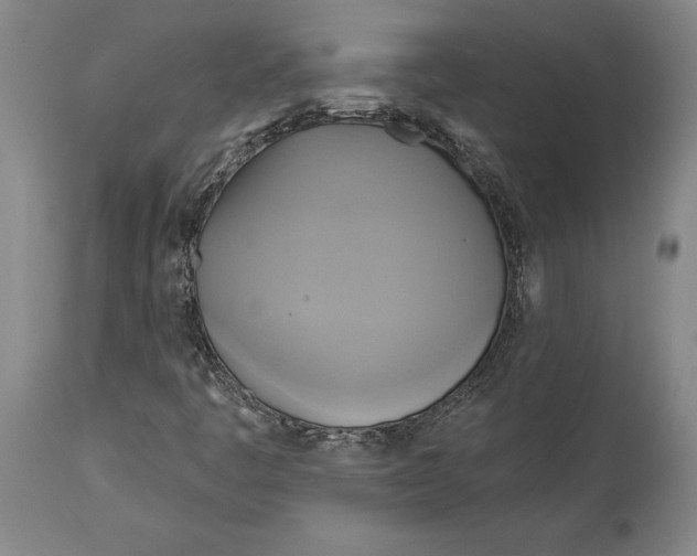 X0000115091445200911171206