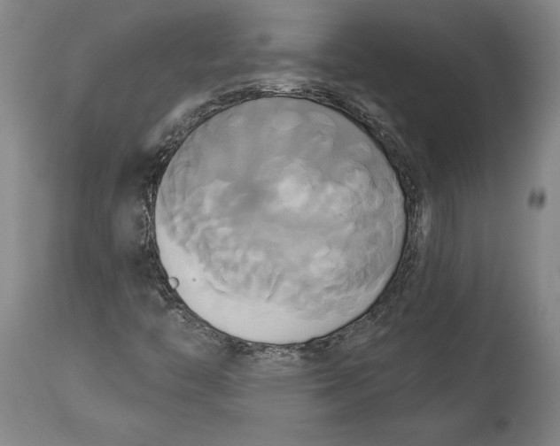X0000115091446200911171206