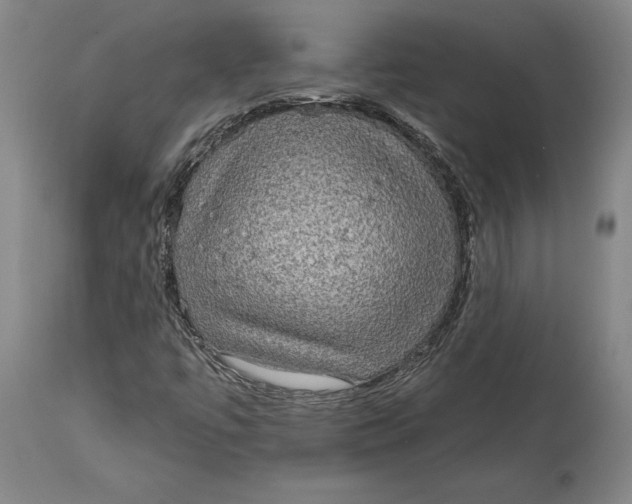 X0000115091447200911171206