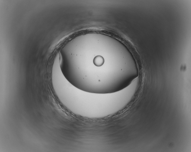 X0000115091448200911171206