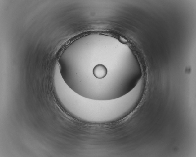 X0000115091449200911171206