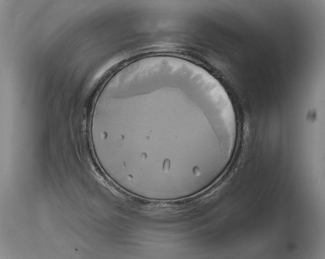 X0000115091450200911171206
