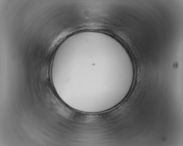 X0000115091451200911171206