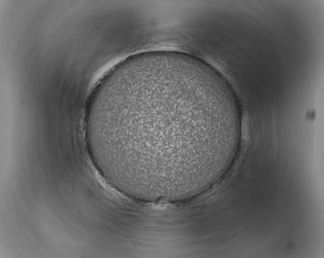 X0000115091452200911171206