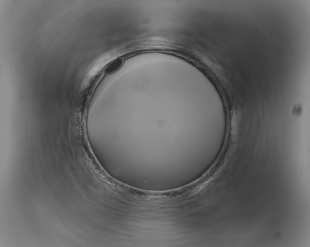 X0000115091453200911171206