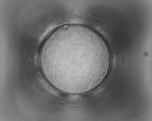X0000115091454200911171206