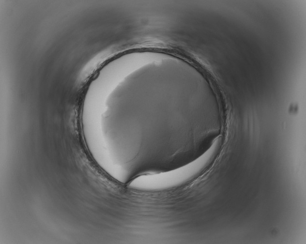 X0000115091455200911171206